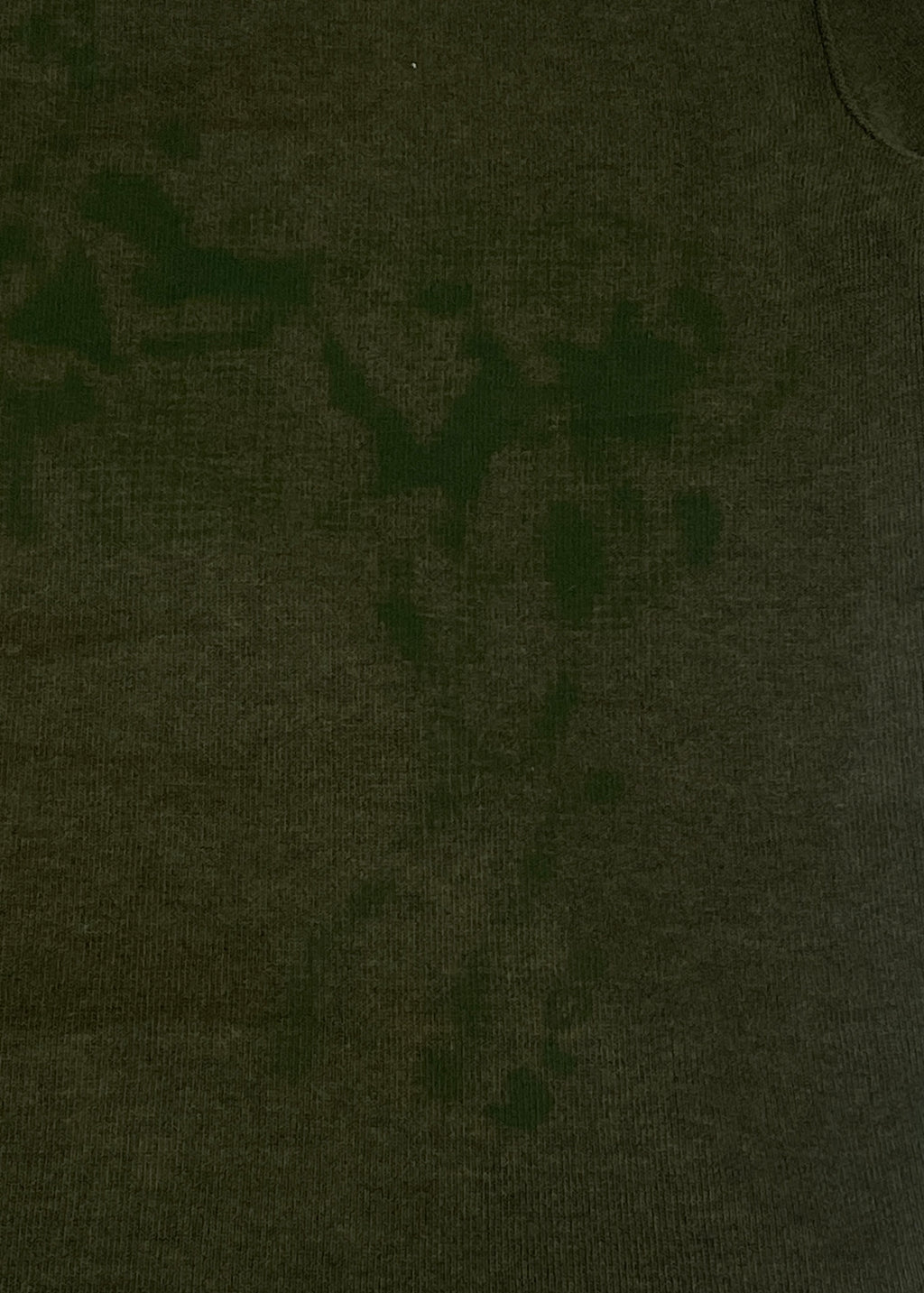 "Forgotten Steed" Longsleeve Quarter-zip